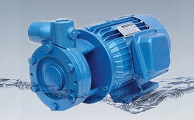 W型單級(jí)直連旋渦泵